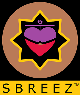 Social networking for making responsible sharing and connecting with people.